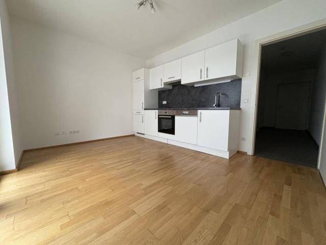 Apartment mieten in Waltendorf, Gersdorf-Feistritz