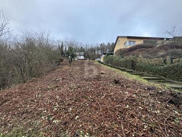 Erdgeschosswohnung mieten in Lieser, Rheinland-Pfalz