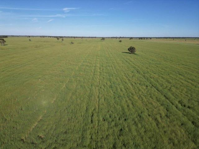 Property for sale in Piney Range, Quandialla