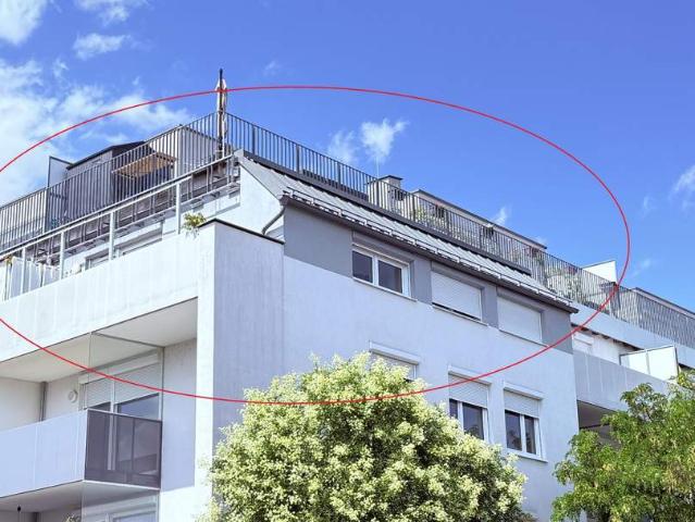 Wohnung mieten in Neustadtl an der Donau, Niederösterreich