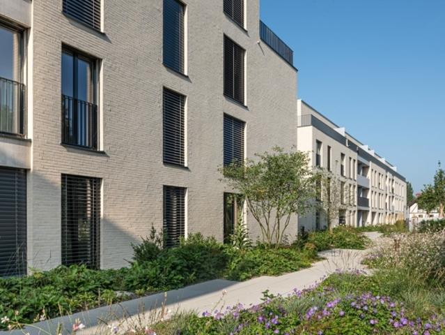 Wohnung mieten in Bremgarten (AG), Aargau