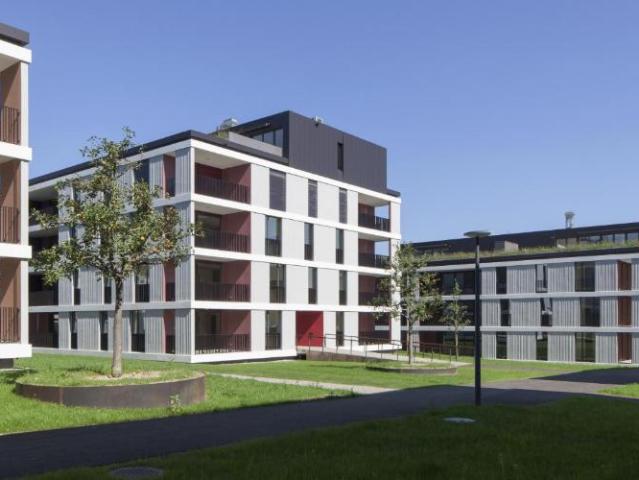 Apartment mieten in Egg, Zürich