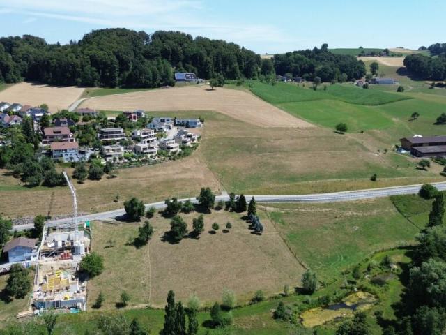 Mehrfamilienhaus kaufen in Lü