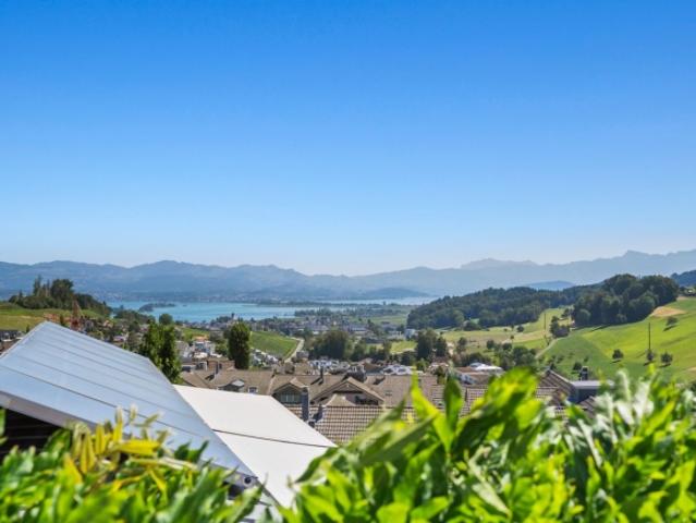 Einfamilienhaus kaufen in Wollerau, Schwyz