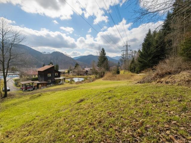 Grundstück kaufen in Pernegg an der Mur, Steiermark
