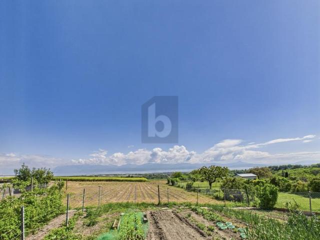 Wohnung kaufen in Morges, Waadt