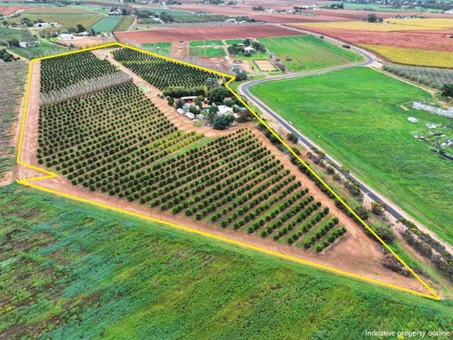 House for sale in Red Cliffs, Victoria