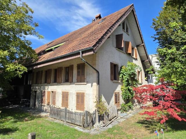 Haus kaufen in Holziken