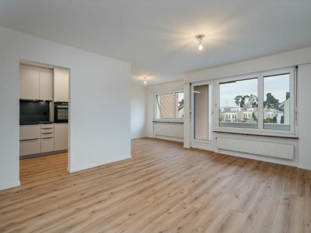 Wohnung kaufen in Villmergen, Aargau