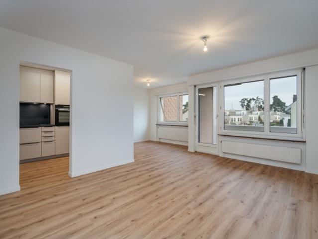 Wohnung kaufen in Villmergen, Aargau