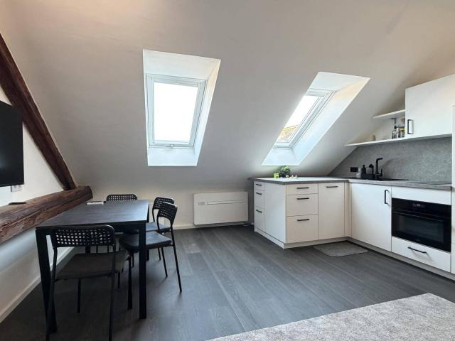 Apartment kaufen in Katastralgemeinde Innere Stadt, Graz