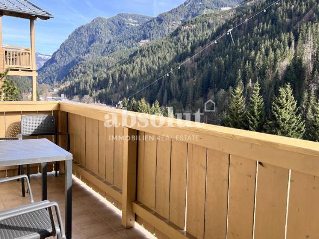 Wohnung kaufen in Viehhofen, Salzburg