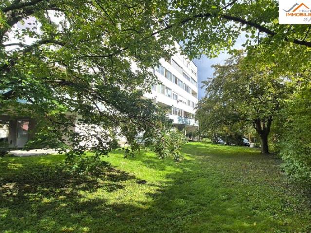 Wohnung kaufen in Gumpoldskirchen, Niederösterreich