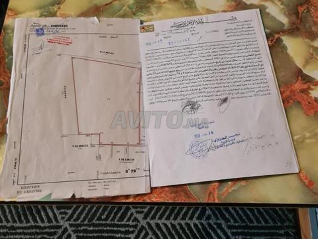 Propriété vente à Saida
