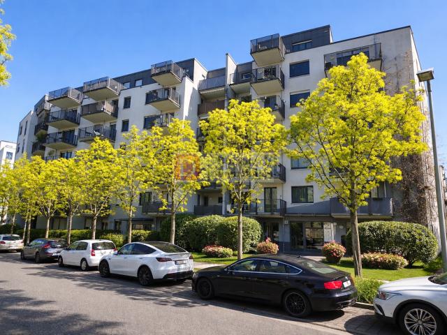 Wohnung kaufen in Bockenheim, Sachsenhausen