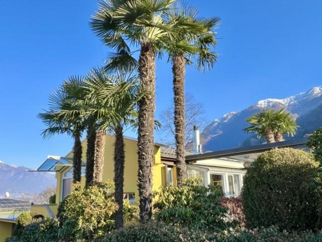 Einfamilienhaus kaufen in Gerra, Gambarogno, Tessin