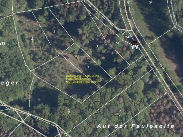 Erdgeschosswohnung kaufen in Landkreis Marburg-Biedenkopf, Hessen