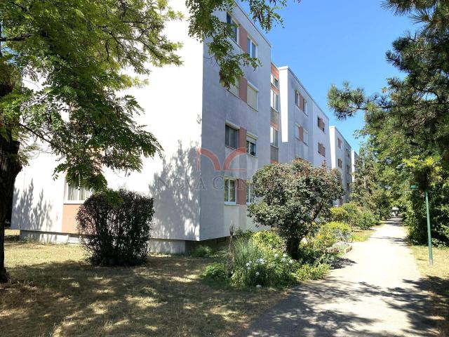 Apartment mieten in Maria Enzersdorf, Niederösterreich
