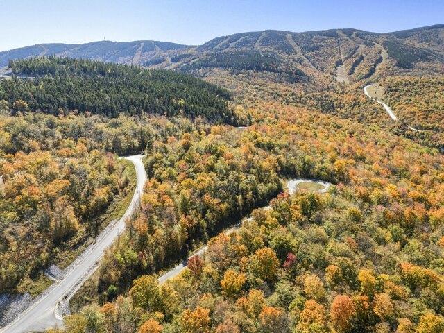 Land for sale in Newry, Maine