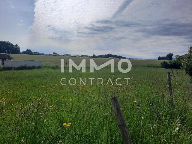 Immobilie kaufen in Bad Hall, Oberösterreich