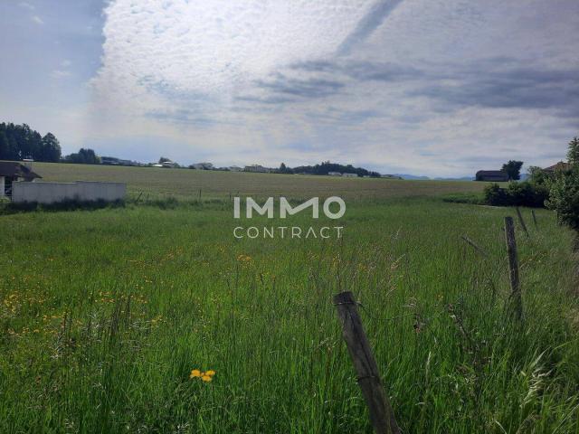 Immobilie kaufen in Pfarrkirchen bei Bad Hall, Oberösterreich