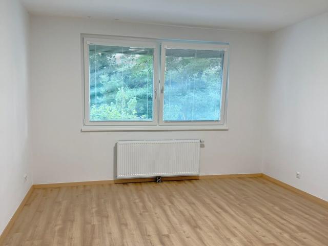 Wohnung mieten in Seestadt, Wien