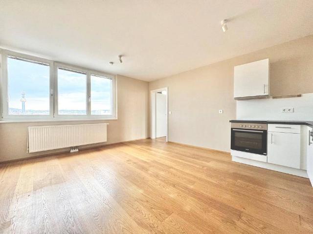Apartment mieten in Donaustadt, Wien