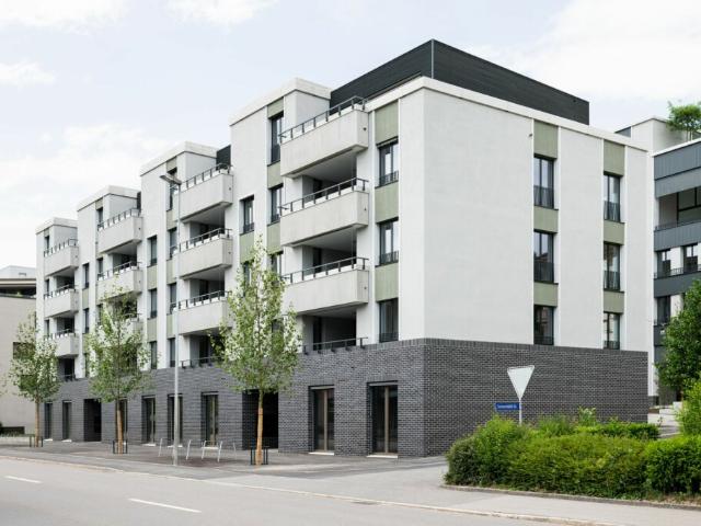 Wohnung mieten in Rapperswil-Jona, St. Gallen