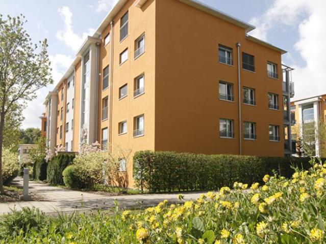 Apartment mieten in Wil (SG), St. Gallen