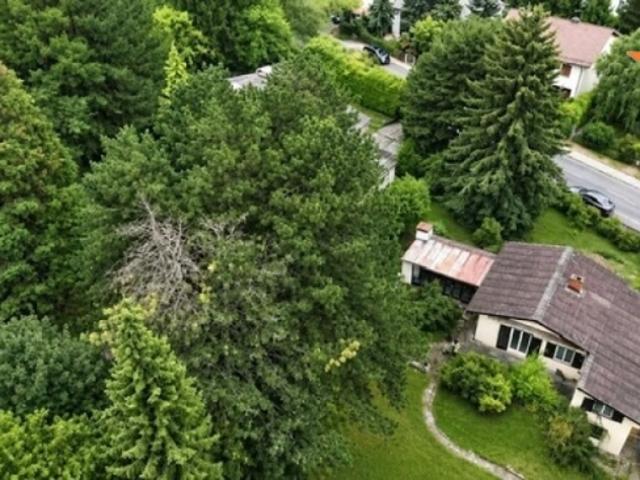 Haus kaufen in Hintersdorf, Niederösterreich