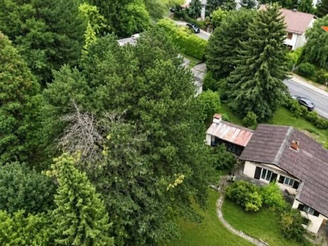 Haus kaufen in Hintersdorf, Niederösterreich