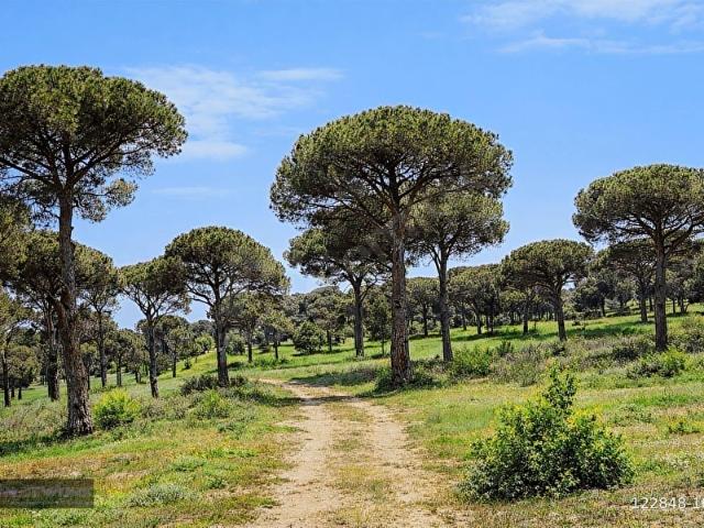Milas, Muğla içerisinde satılık Arsa