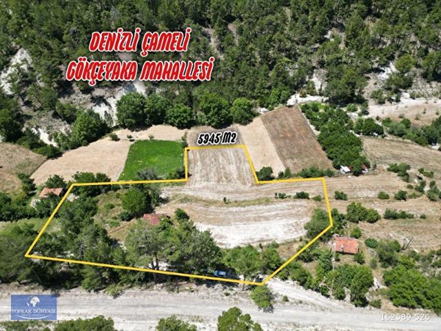 Gökçeyaka, Çameli içerisinde satılık Arsa