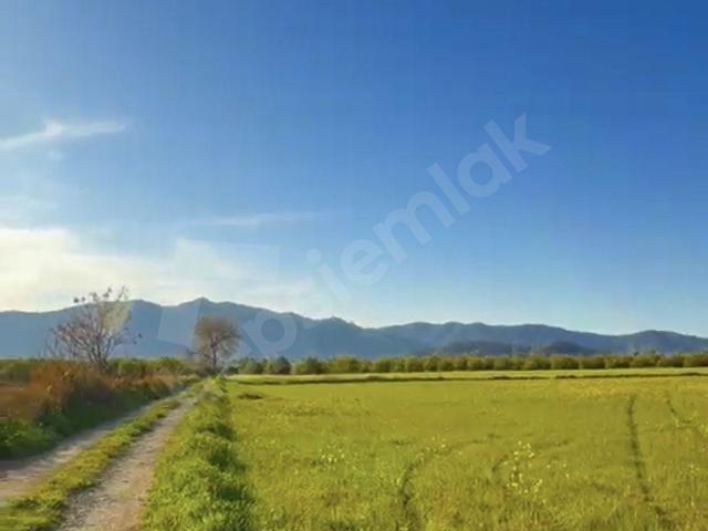 Ortaca, Muğla içerisinde satılık Arsa