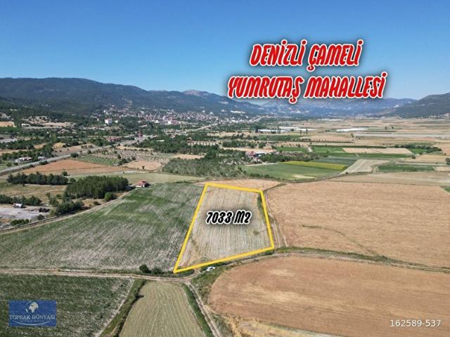 Yumrutaş, Çameli içerisinde satılık Arsa