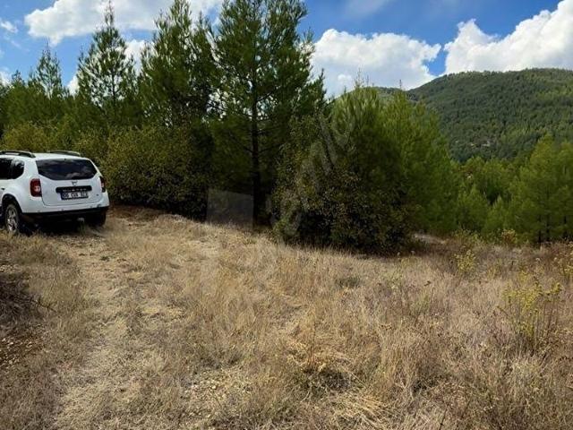 Suçatı, Acıpayam içerisinde satılık Arsa