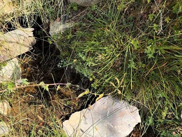 Kızlan, Çameli içerisinde satılık Arsa