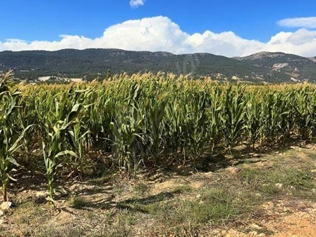 Kızılyaka, Çameli içerisinde satılık Arsa
