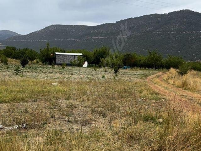 Yeni, Çameli içerisinde satılık Arsa
