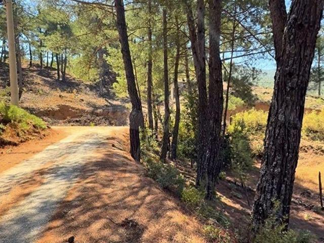 Fethiye, Muğla içerisinde satılık Arsa