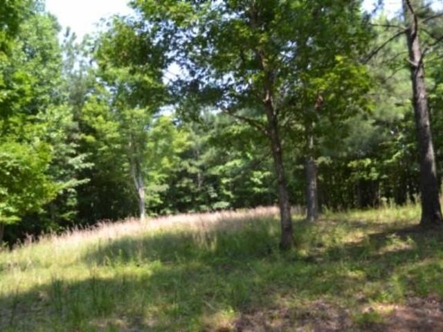 Land for sale in Tennessee