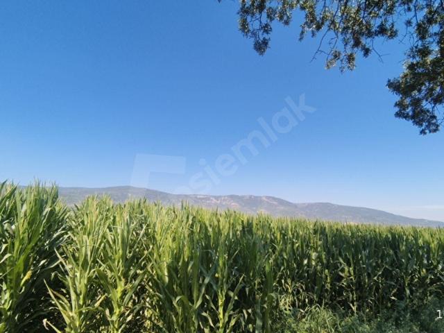 Torbali, İzmir içerisinde satılık Arsa