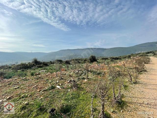 Torbali, İzmir içerisinde satılık Arsa