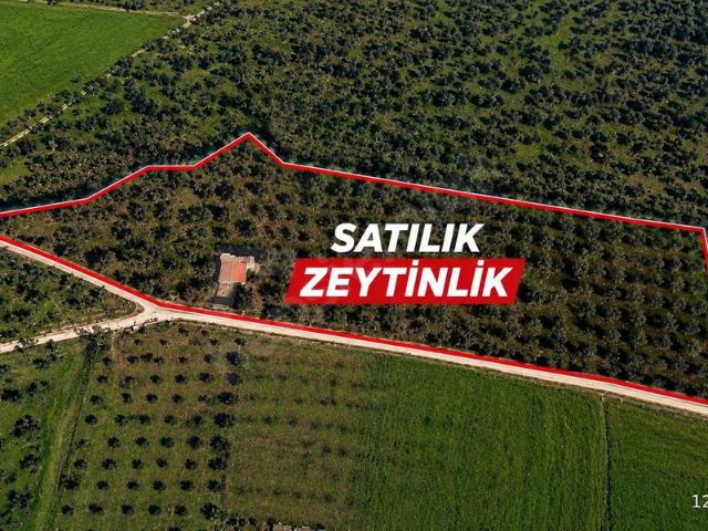 Doğancılar Mahallesi, Buca içerisinde satılık mülk