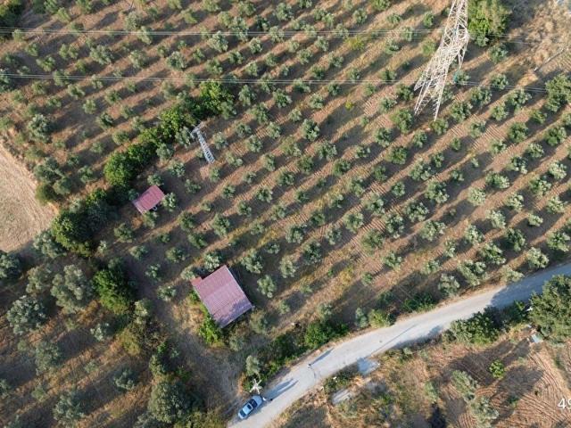 İzmir Merkez içerisinde satılık Tarla