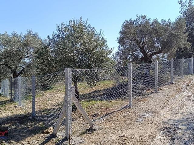 Torbali, İzmir içerisinde satılık mülk