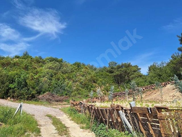Torbali, İzmir içerisinde satılık Arsa