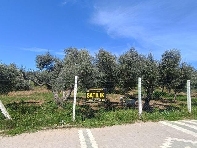 Torbali, İzmir içerisinde satılık mülk