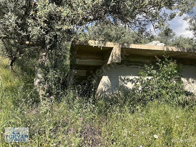 Dirmil Mahallesi, Torbalı içerisinde satılık mülk