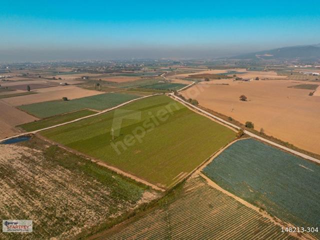 Torbali, İzmir içerisinde satılık Arsa